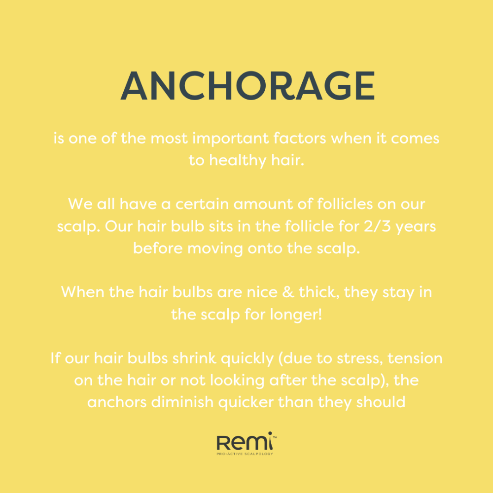 Text on a yellow background about hair health and follicles, with 'Remi' brand name.