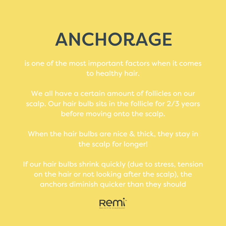 Text on a yellow background about hair health and follicles, with 'Remi' brand name.