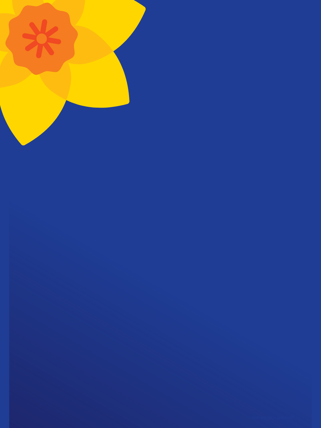 Daffodil day in aid of the irish cancer society